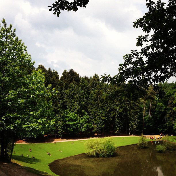 Wildpark Schwarze Berge